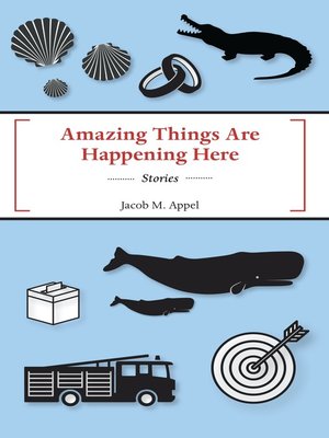 cover image of Amazing Things Are Happening Here